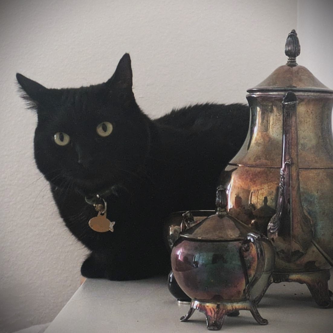 black cat perched on white headboard next to silver tea set